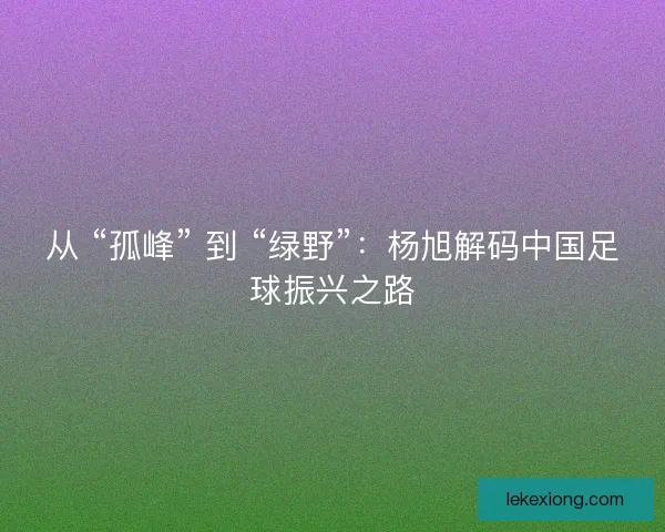 从 “孤峰” 到 “绿野”：杨旭解码中国足球振兴之路