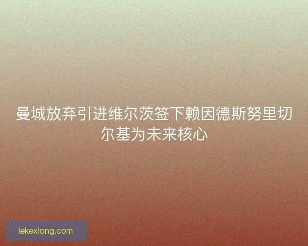 曼城放弃引进维尔茨签下赖因德斯努里切尔基为未来核心